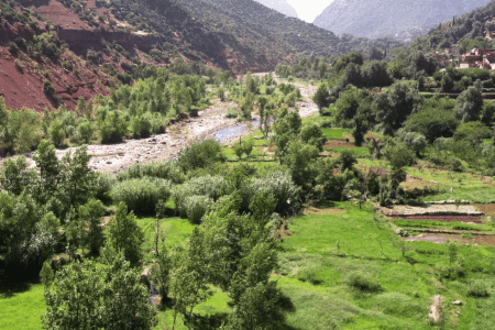 1-Day Trip – Excursion from Marrakesh to Ourika Valley